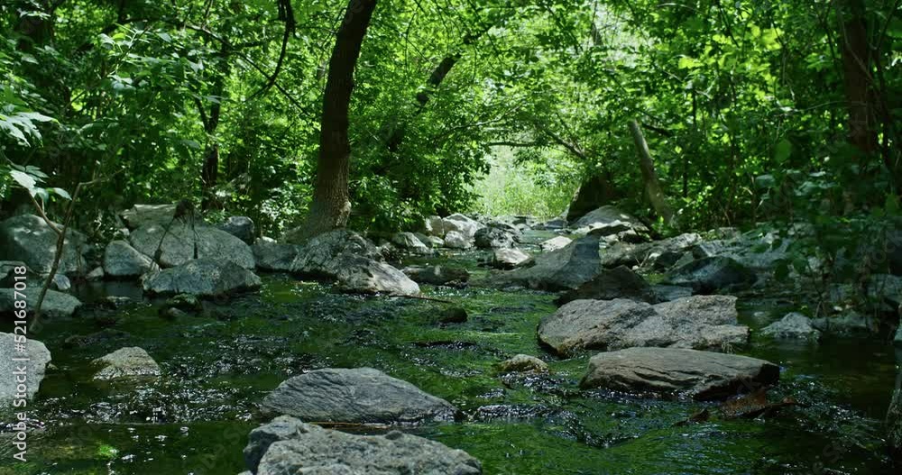 a beautiful mountain waterfall flows through the rocks, its water washes stones and trees a beautiful mountain waterfall flows through the rocks, its water washes stones and trees