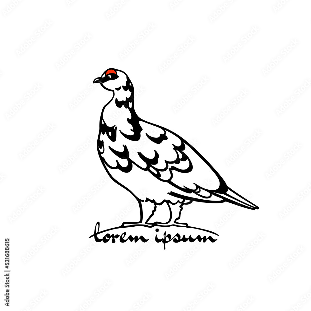 Obraz premium Vector card with hand drawn graceful motley rock ptarmigan. Ink drawing, decorative graphic style. Beautiful animal design elements, northern destinations travel poster