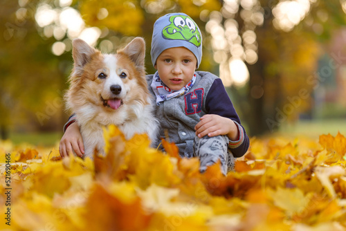 Friends  baby and dog are sitting together in beautiful golden leaves. Autumn in the park