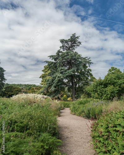 Staffordshire Lakeside Woodland Path Sunny Day photo