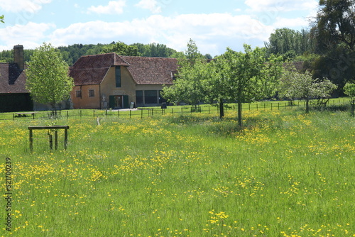 A field of dandelions in front of some old outbuildings on an English country estate