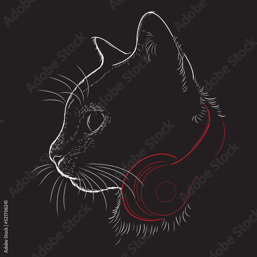 cat with headphone drawing vector