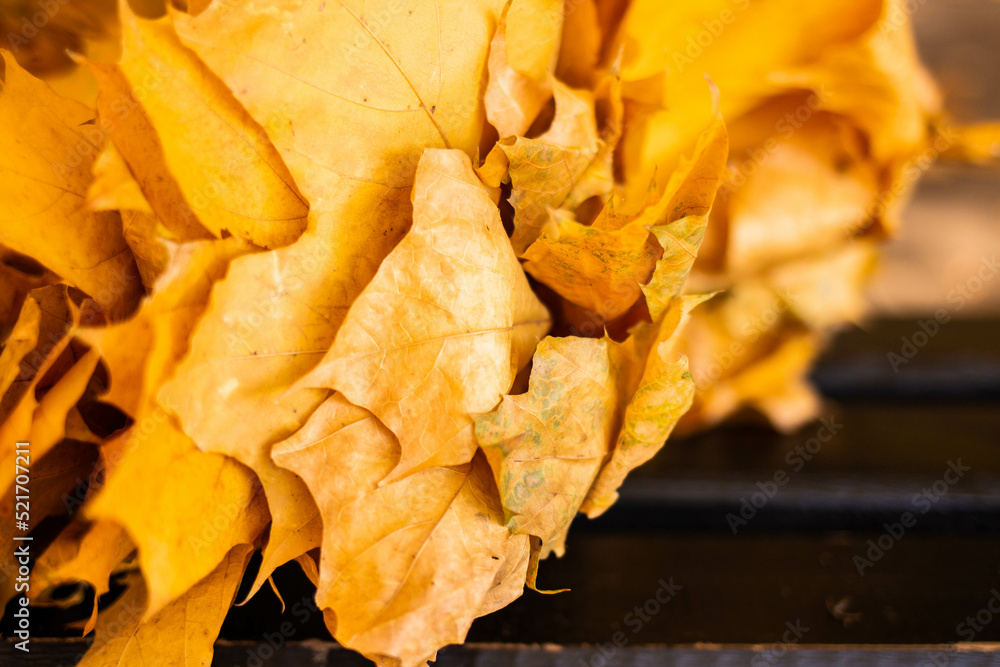 Shot close up of a bouquet of yellow autumn leaves lying on a wooden brown bench Shot close up of a bouquet of yellow autumn leaves lying on a wooden brown bench