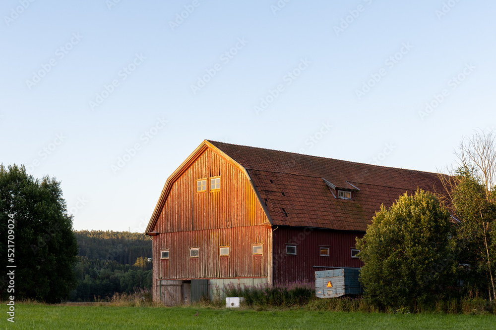 Red barn on edge of green field with wall illuminated by morning sun Red barn on edge of green field with wall illuminated by morning sun