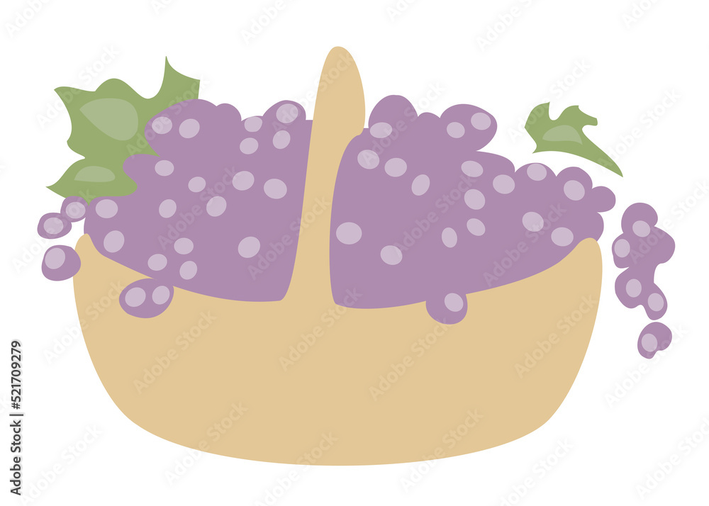 Basket with ripe purple grapes. Picture for decor, posters, stickers, logo. Vector illustration. Basket with ripe purple grapes. Picture for decor, posters, stickers, logo. Vector illustration.