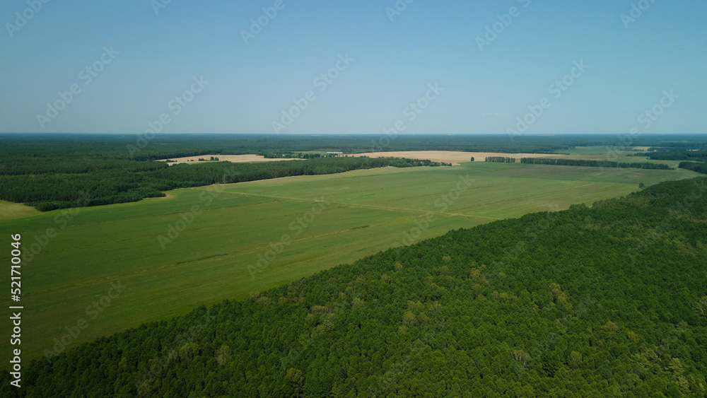 Rural landscape. Green forests and fields. Aerial photography.