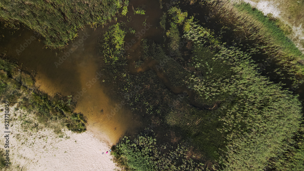 Flight over the forest lake. Reeds and water lilies grow in the water. Aerial photography. Flight over the forest lake. Reeds and water lilies grow in the water. Aerial photography.