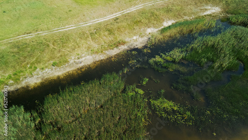 Flight over the forest lake. Reeds and water lilies grow in the water. Aerial photography.