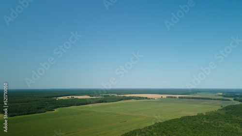 Rural landscape. Green forests and fields. Aerial photography.