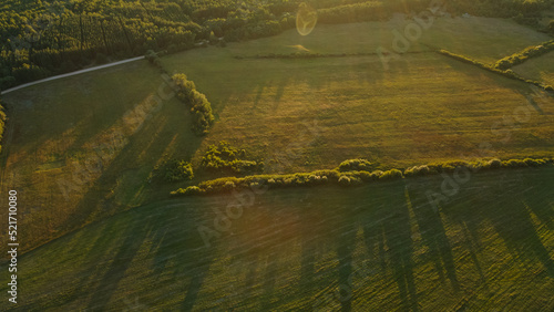 Rural landscape at dawn. Green forests and fields in the rays of the rising sun. Aerial photography.