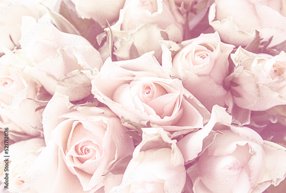 Fototapeta premium bouquet of roses close up