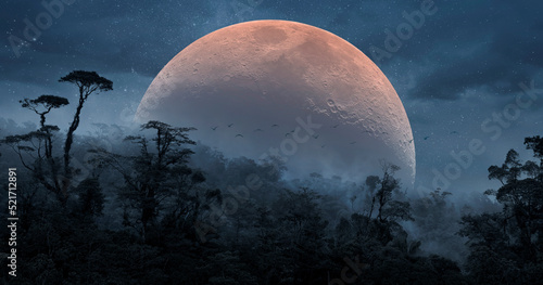 Blood Moon in the rainforest