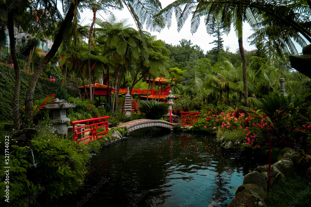 Fototapeta premium tropical garden 5