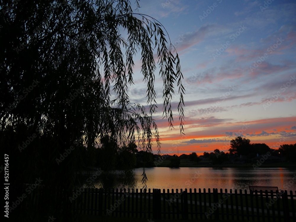 Tranquility at the lake at sunrise, with silhouettes of a willow tree Tranquility at the lake at sunrise, with silhouettes of a willow tree