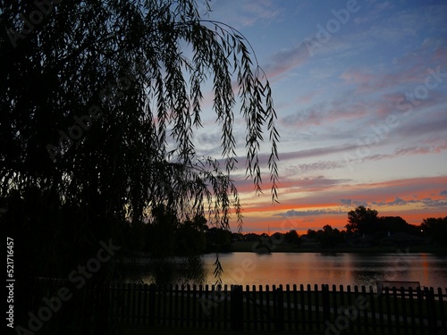 Tranquility at the lake at sunrise  with silhouettes of a willow tree
