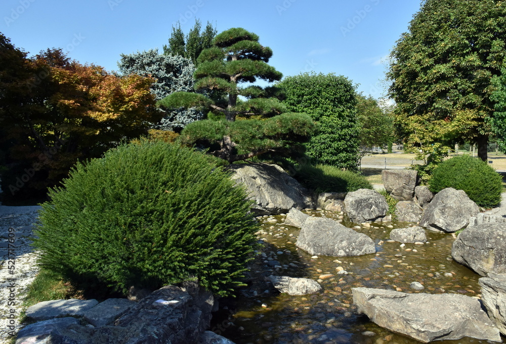 Obraz premium Japangarten in Freiburg im Sommer