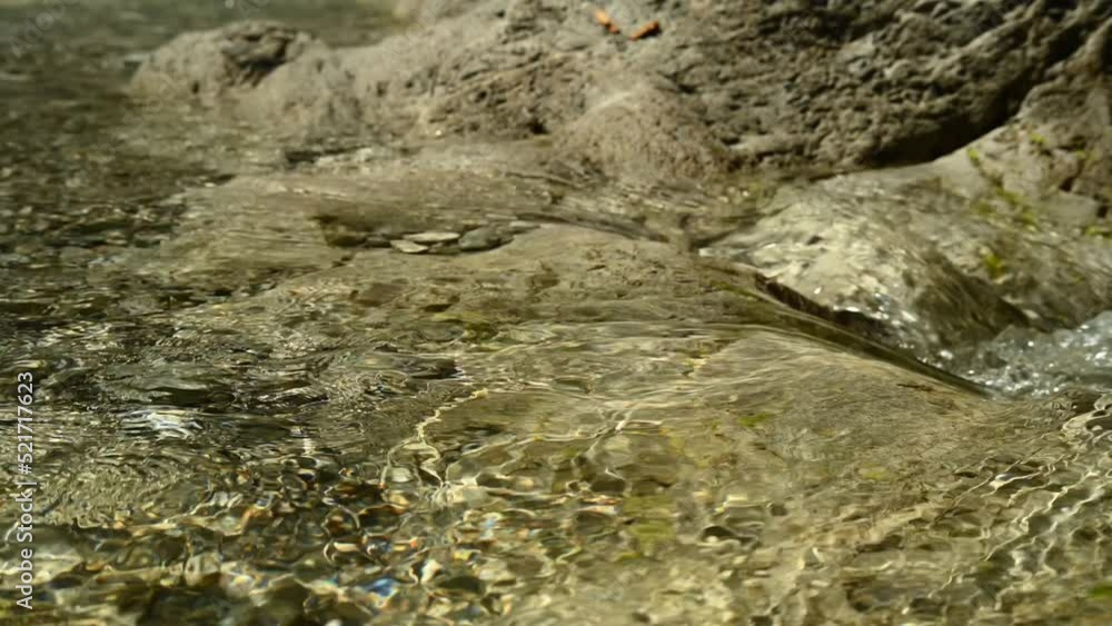 Detail of a beautiful and wild small stream in the mountains with very clear and clean water