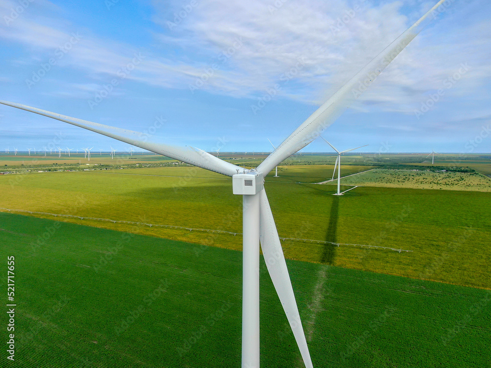 Obraz premium South Texas Wind Farm, Near Mathis Texas 3