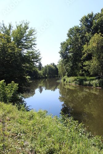 Reflection of trees on a river in summer