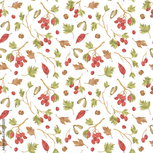 Vector seamless pattern of hawberry branches, berries and fall leaves, nuts. Autumn forest concept. Hawthorn background.