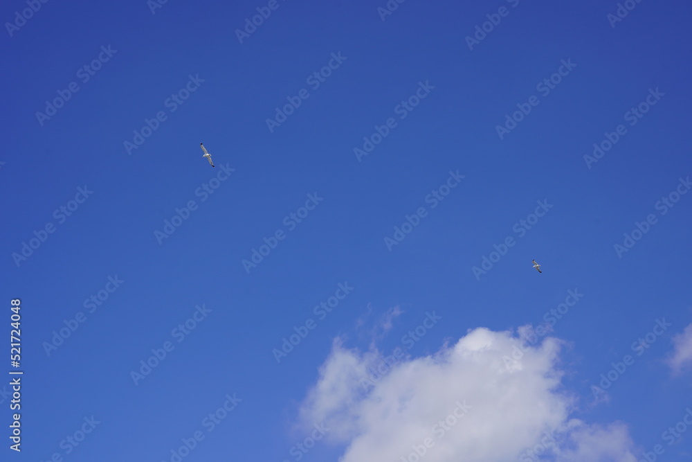sky cloud background, Beautiful soft blue sky with white clouds best for nature background sky cloud background, Beautiful soft blue sky with white clouds best for nature background