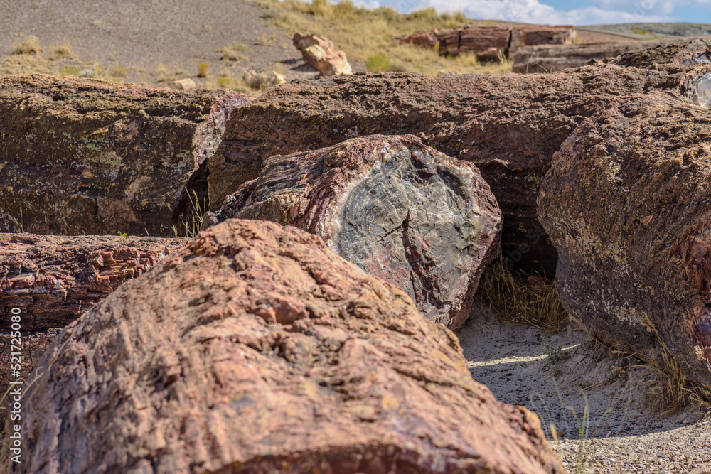 Image captured at the Petrified Forest NP Arizona. Crystalized wood laying all over the place. The colors are amazing.