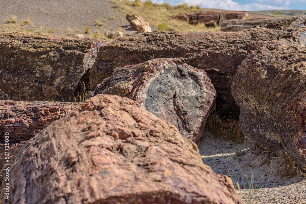 Image captured at the Petrified Forest NP Arizona. Crystalized wood laying all over the place. The colors are amazing. Image captured at the Petrified Forest NP Arizona. Crystalized wood laying all over the place. The colors are amazing.