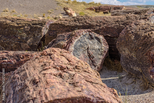 Image captured at the Petrified Forest NP Arizona. Crystalized wood laying all over the place. The colors are amazing.