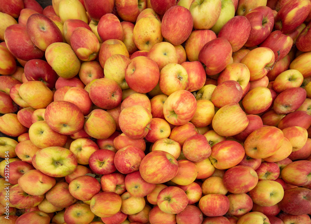 Pile of red and yellow apples in autumn Pile of red and yellow apples in autumn