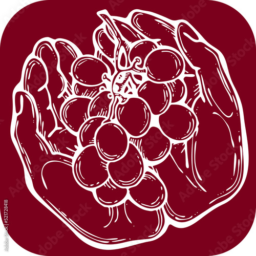 Grapes harvest in farmers hands. Etiquette logo design for wine bottle. Autumn rural vino festival. Winery production. Organic healthy food. Hand drawn retro vintage illustration. Old style drawing. 
