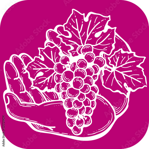 Grapes harvest in farmers hands. Etiquette logo design for wine bottle. Autumn rural vino festival. Winery production. Organic healthy food. Hand drawn retro vintage illustration. Old style drawing. 