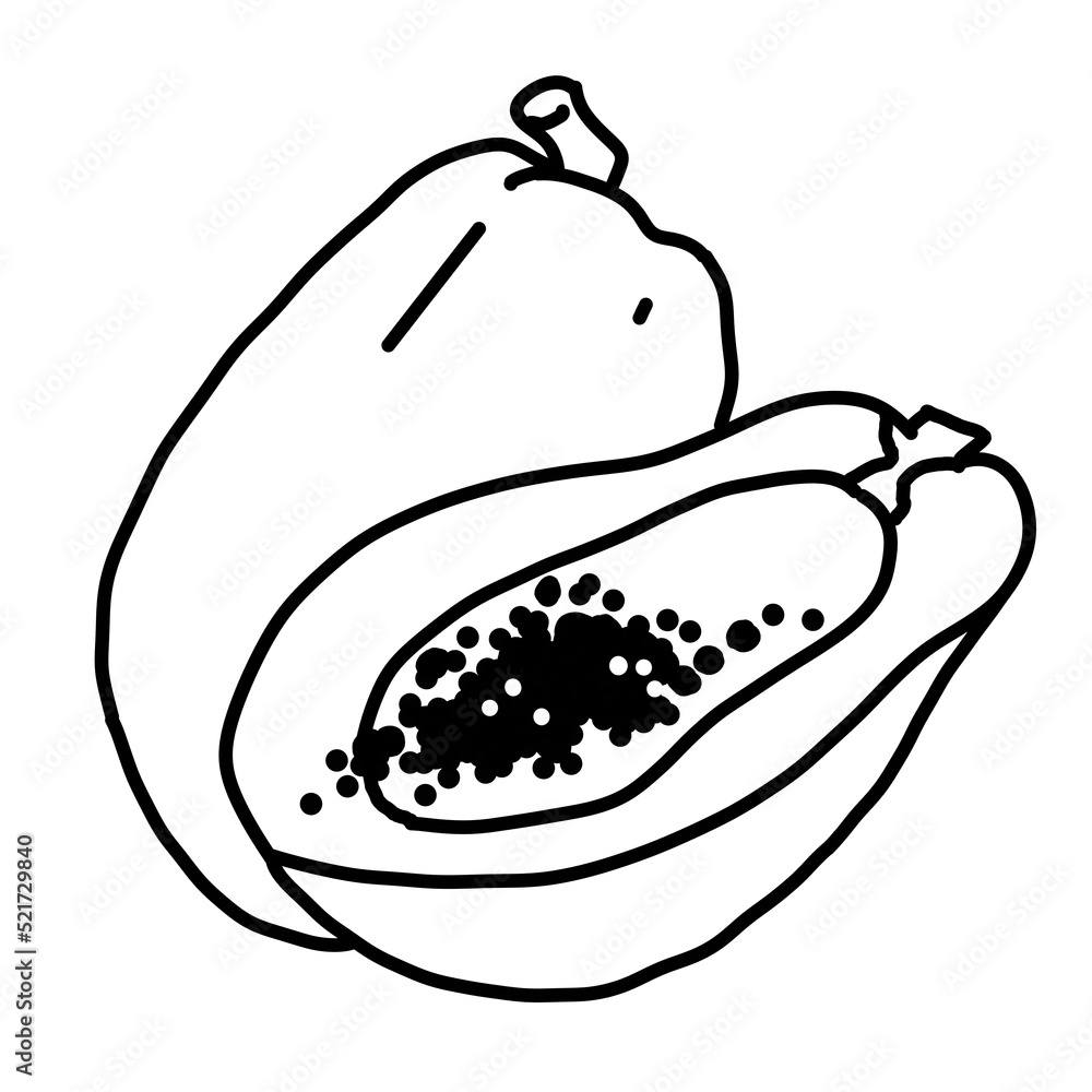 Tropical sweet fruit papaya. Healthy vegan food, agricultural harvest. Tasty dessert for diet. Hand drawn colourful illustration. Comic cartoon old style line drawing. Tropical sweet fruit papaya. Healthy vegan food, agricultural harvest. Tasty dessert for diet. Hand drawn colourful illustration. Comic cartoon old style line drawing.