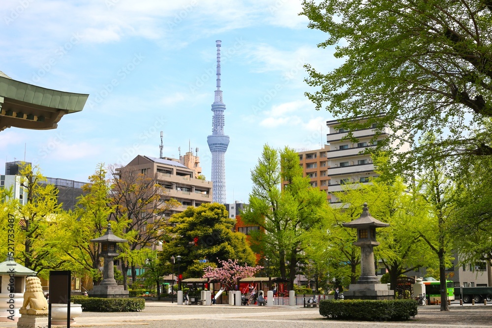 Obraz premium 横綱町公園