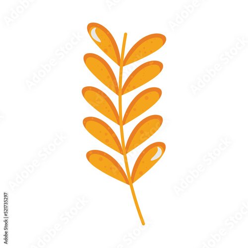 dry leaf illustration