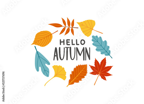 Hello autumn lettering fall season slogan vector