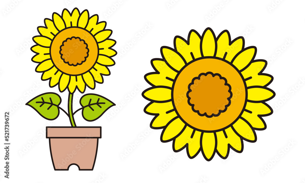 Obraz premium ひまわりのイラスト素材