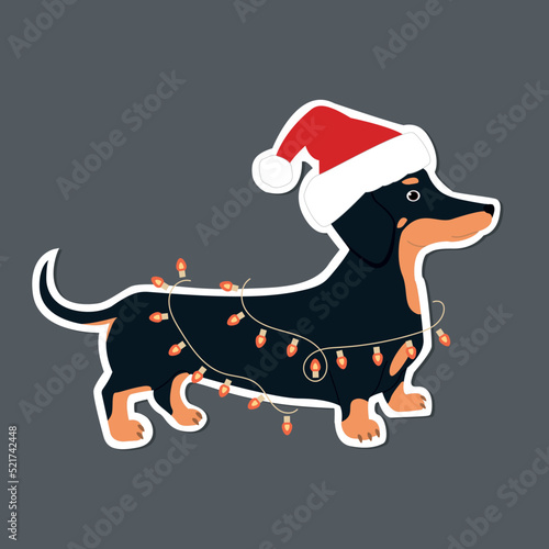 The dachshund got tangled up in a Christmas garland. Cute hand drawn sticker illustration.