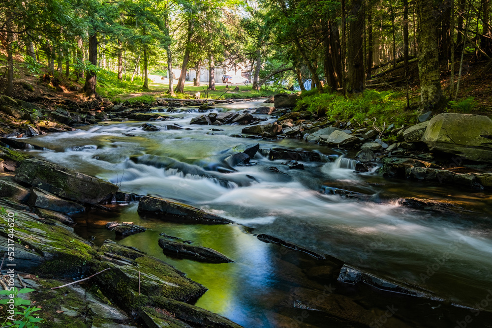 Obraz premium waterfall in the forest