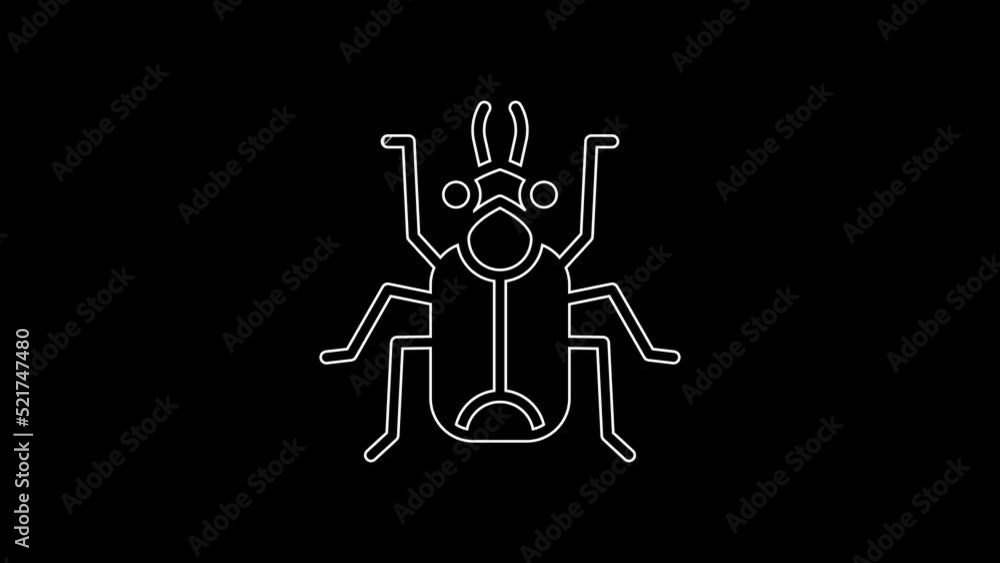 White line Beetle bug icon isolated on black background. 4K Video motion graphic animation White line Beetle bug icon isolated on black background. 4K Video motion graphic animation