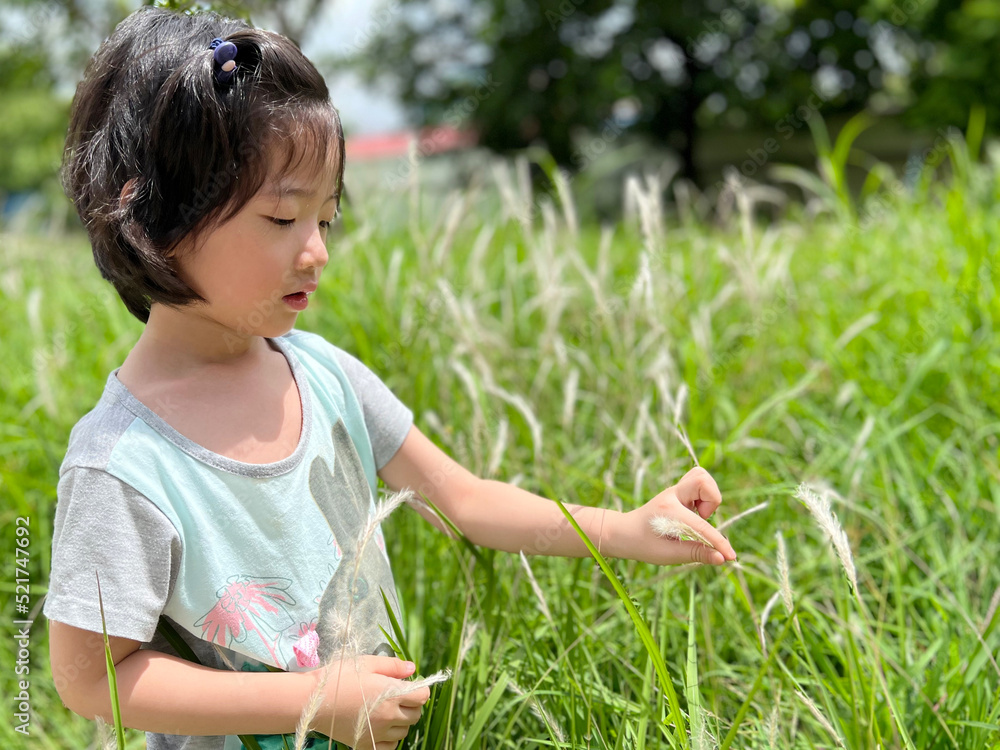 Beautiful little cute girl is picking up flower in the grass field with copy space Beautiful little cute girl is picking up flower in the grass field with copy space
