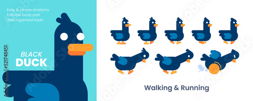 Cute Unique Black Duck Animation Frame With Flat Design Style Vector Illustration