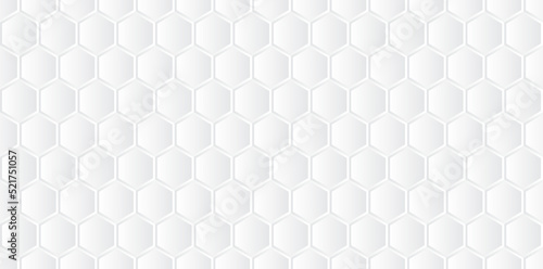 White honeycomb seamless texture background vector illustration