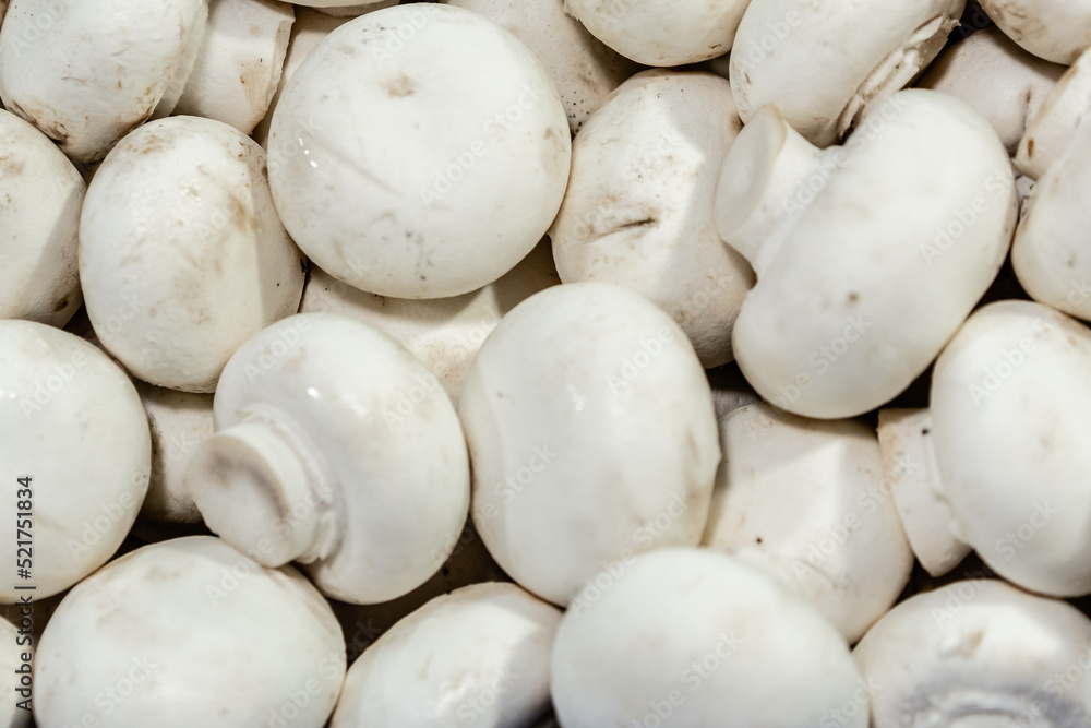 close-up of many fresh white mushrooms