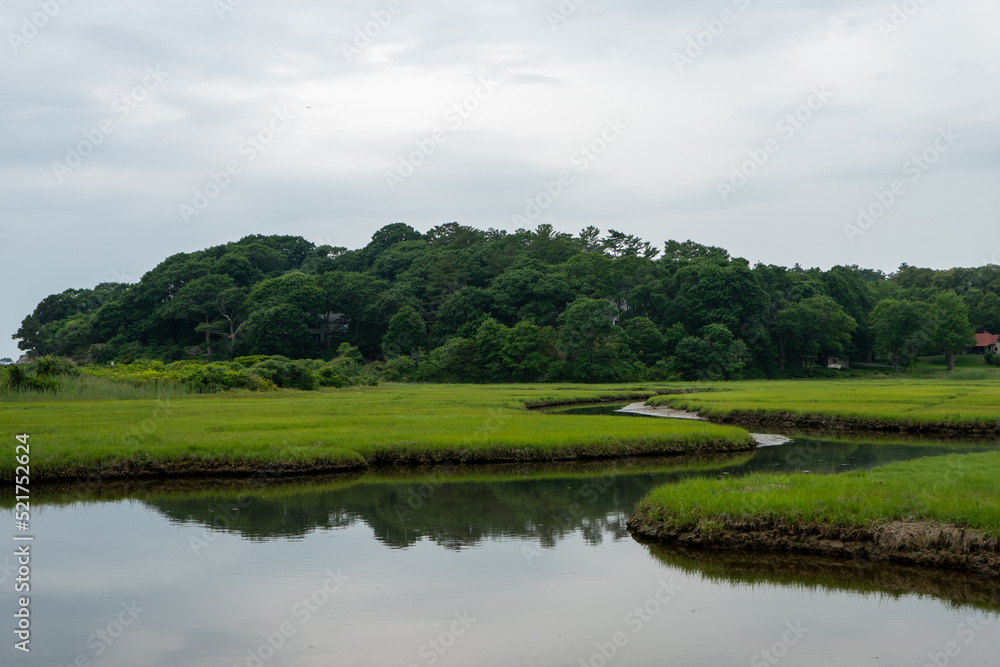 Estuary with vibrant green grass Estuary with vibrant green grass