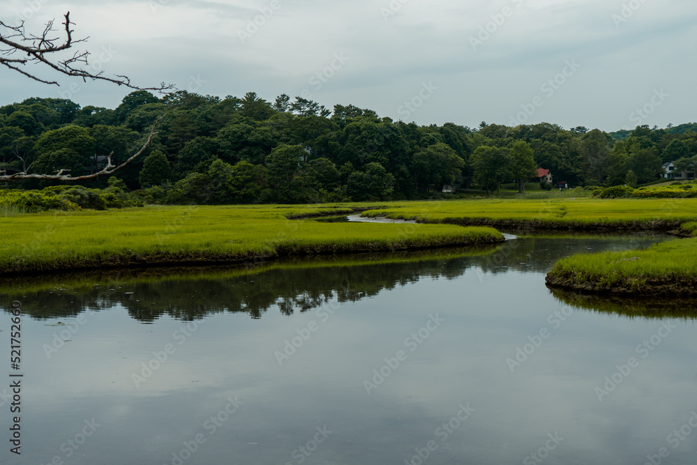 Estuary with vibrant green grass