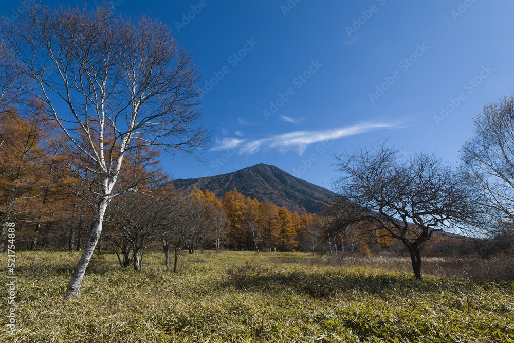 紅葉の戦場ヶ原から望む男体山／栃木県日光市
