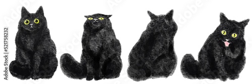 Canvas Print Four black cats