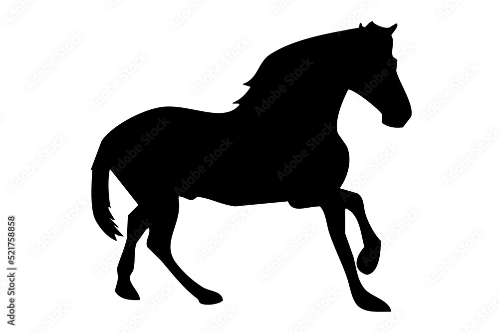 Obraz premium silhouette of a beautiful horse in a jump, on a white background
