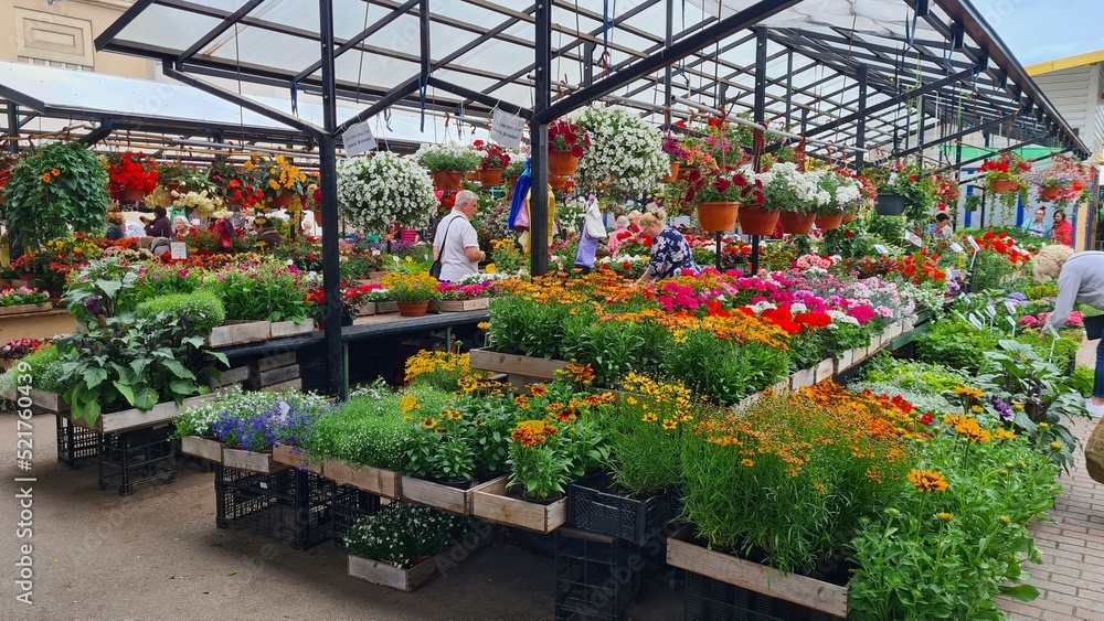 Many different varieties of flowers in beautiful colors in the city's agricultural market Many different varieties of flowers in beautiful colors in the city's agricultural market