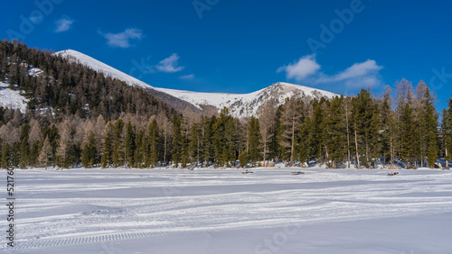 Snowmobile tracks are visible in the snowy valley. Picturesque mountains and forest against the blue sky. Altai